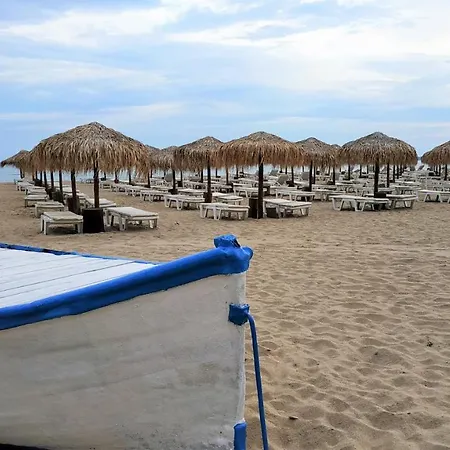 Charming 1 Bedroom Apartment Sunny Beach